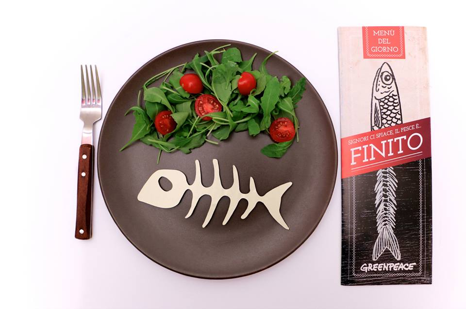 14462965 10153939159529499 2476428613047511944 n 14462965 10153939159529499 2476428613047511944 n