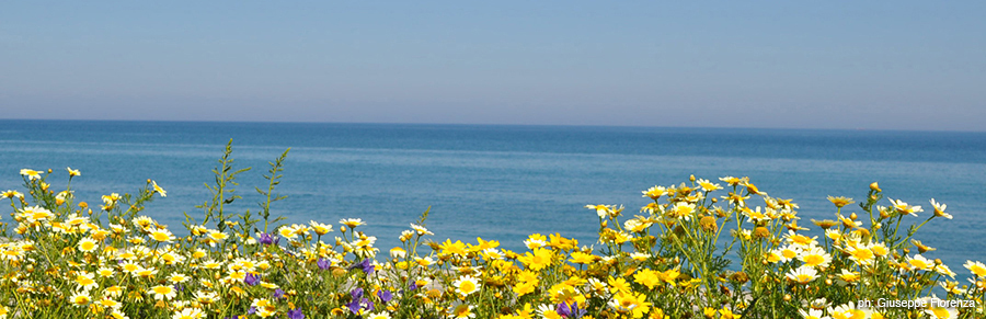 DSC_0524Giuseppe-Fiorenza