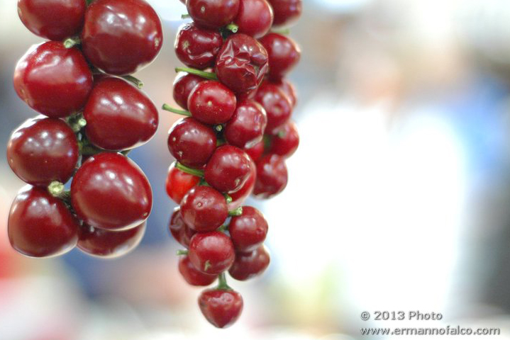 DSC_894_Ermanno-Falco-3