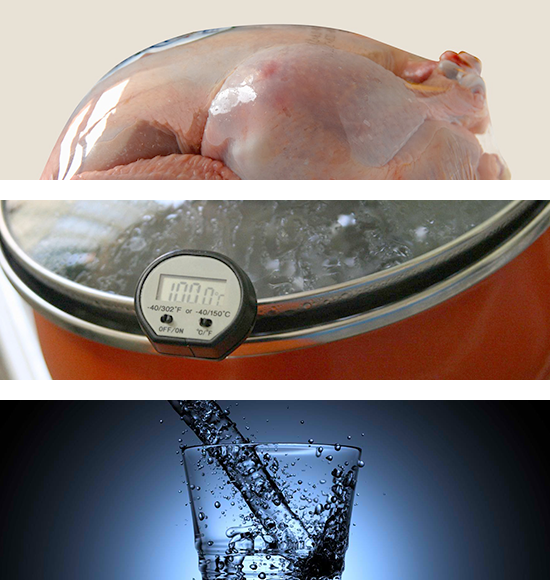 chiedi allesperto trio