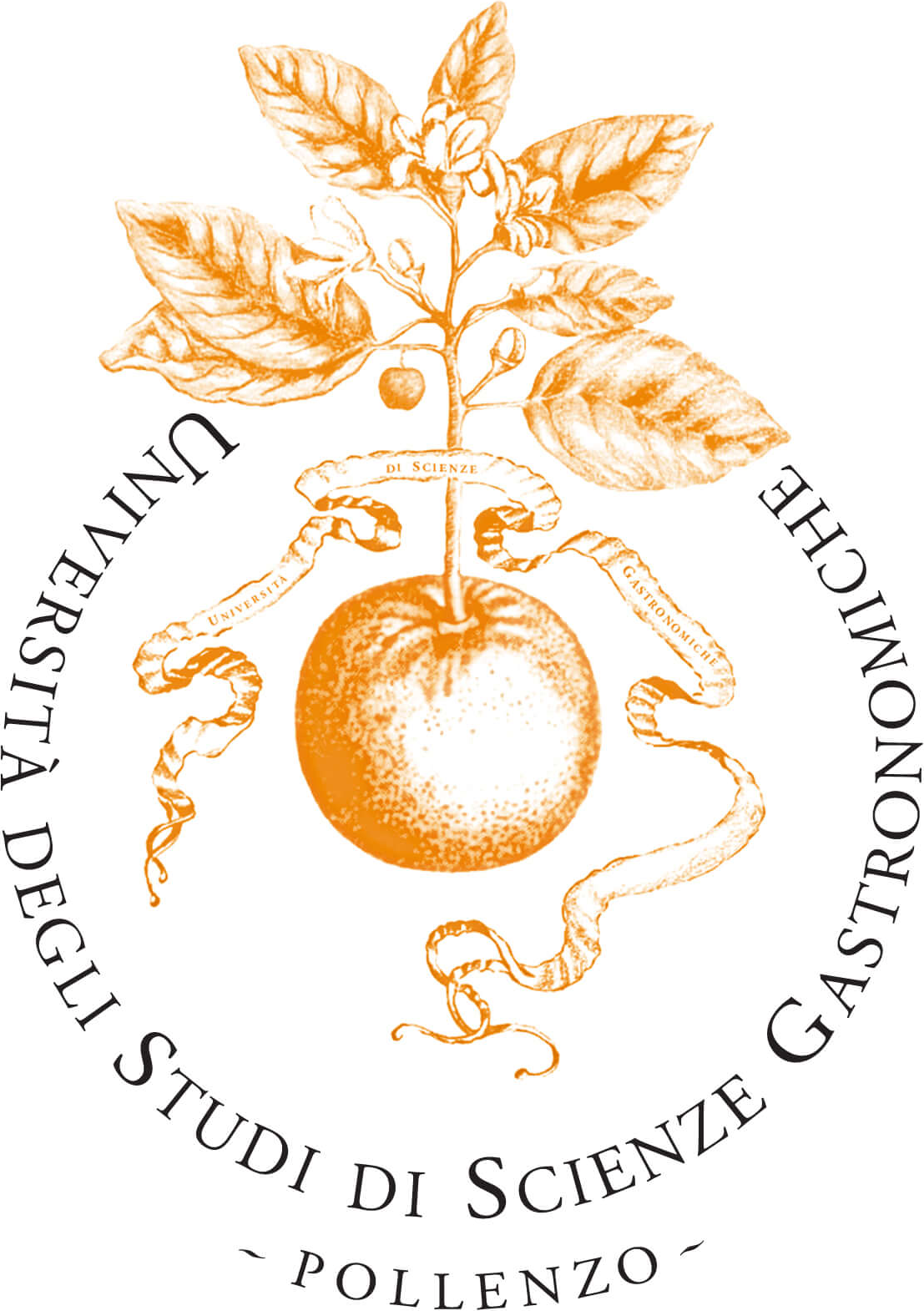 Unisg_logo