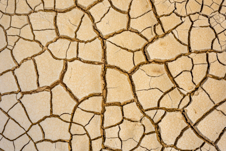 Lo spreco dell’acqua